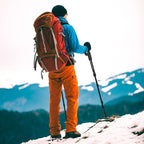 Adjustable Telescopic Hiking Trekking Pole 4 Height Levels | 6 Colors