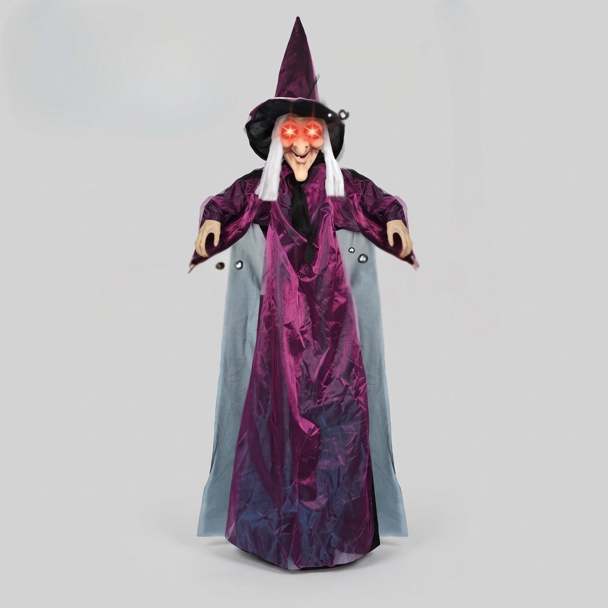 Animated Halloween Witch Decoration