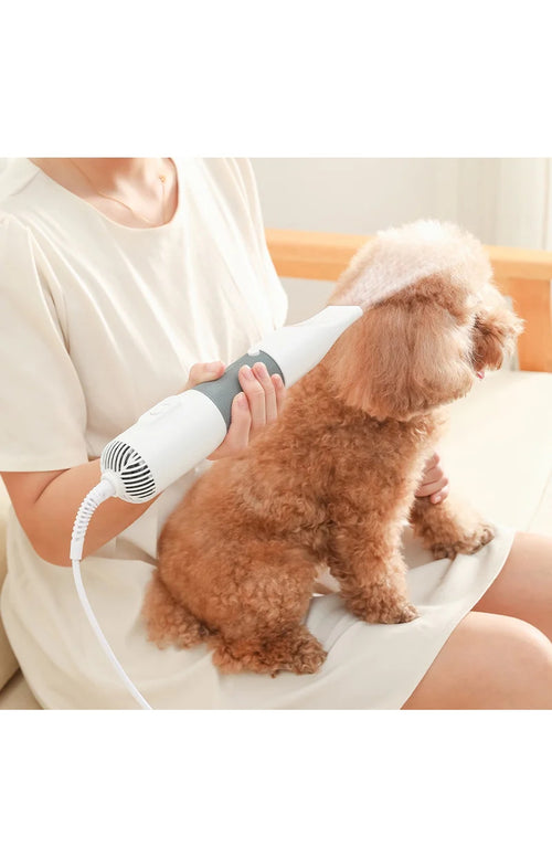 3-in-1 Dog Hair Dryer – Blow Dryer, Grooming Brush & Comb