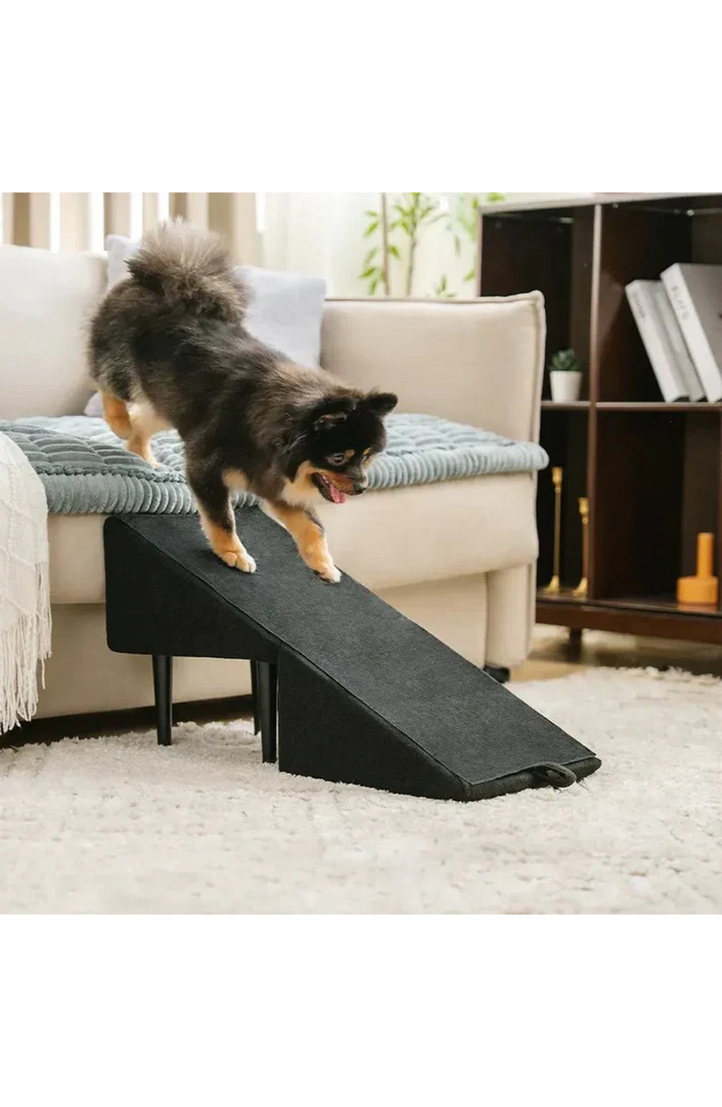 2-in-1 Convertible Dog Ramp & Step Stool – Supports 200 lbs