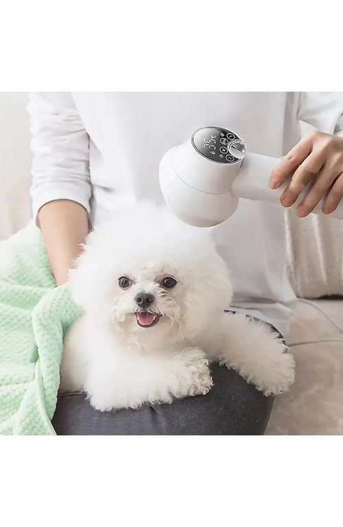 2-in-1 Dog Hair Dryer with Slicker Brush – Low-Noise Grooming