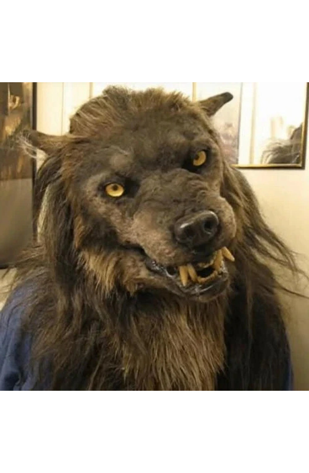 Wolf Head Mask - Full Head Halloween Costume Mask
