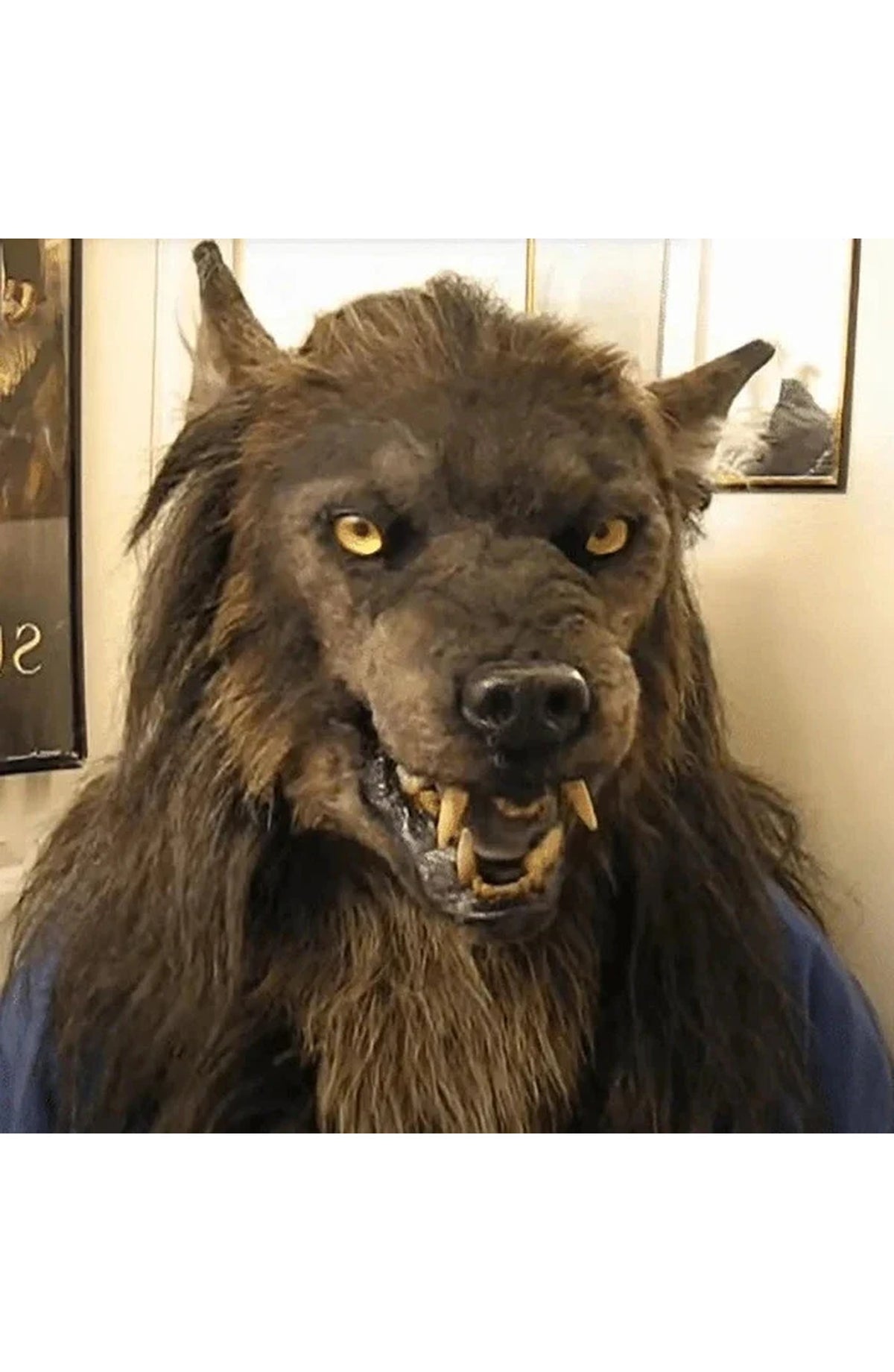 Wolf Head Mask - Full Head Halloween Costume Mask