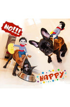 Dog Costume with Rider, Funny Halloween Outfit for Dogs and Cats, S-XL