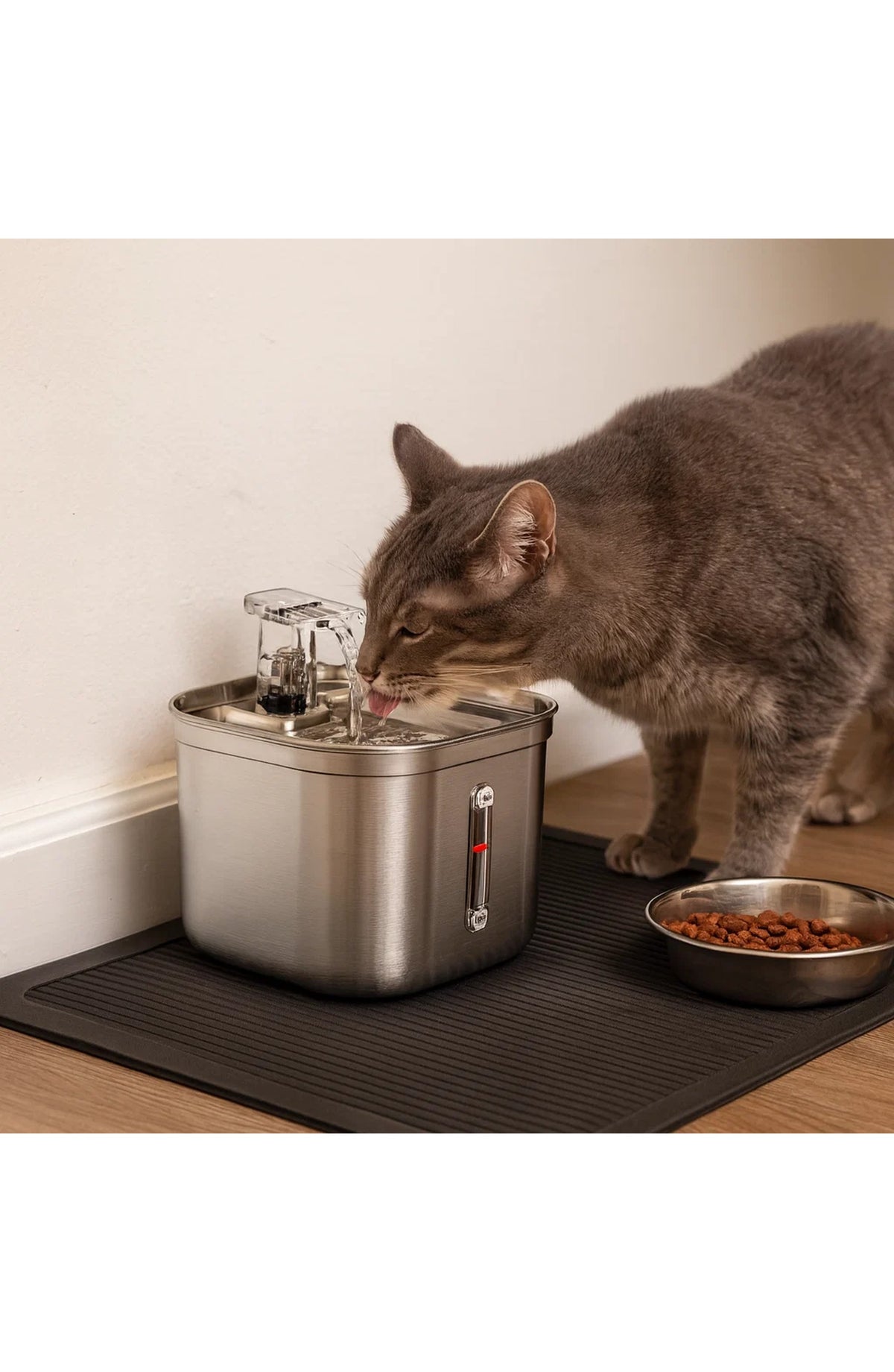 Stainless Steel Pet Water Dispenser - Filtered, Auto Circulation