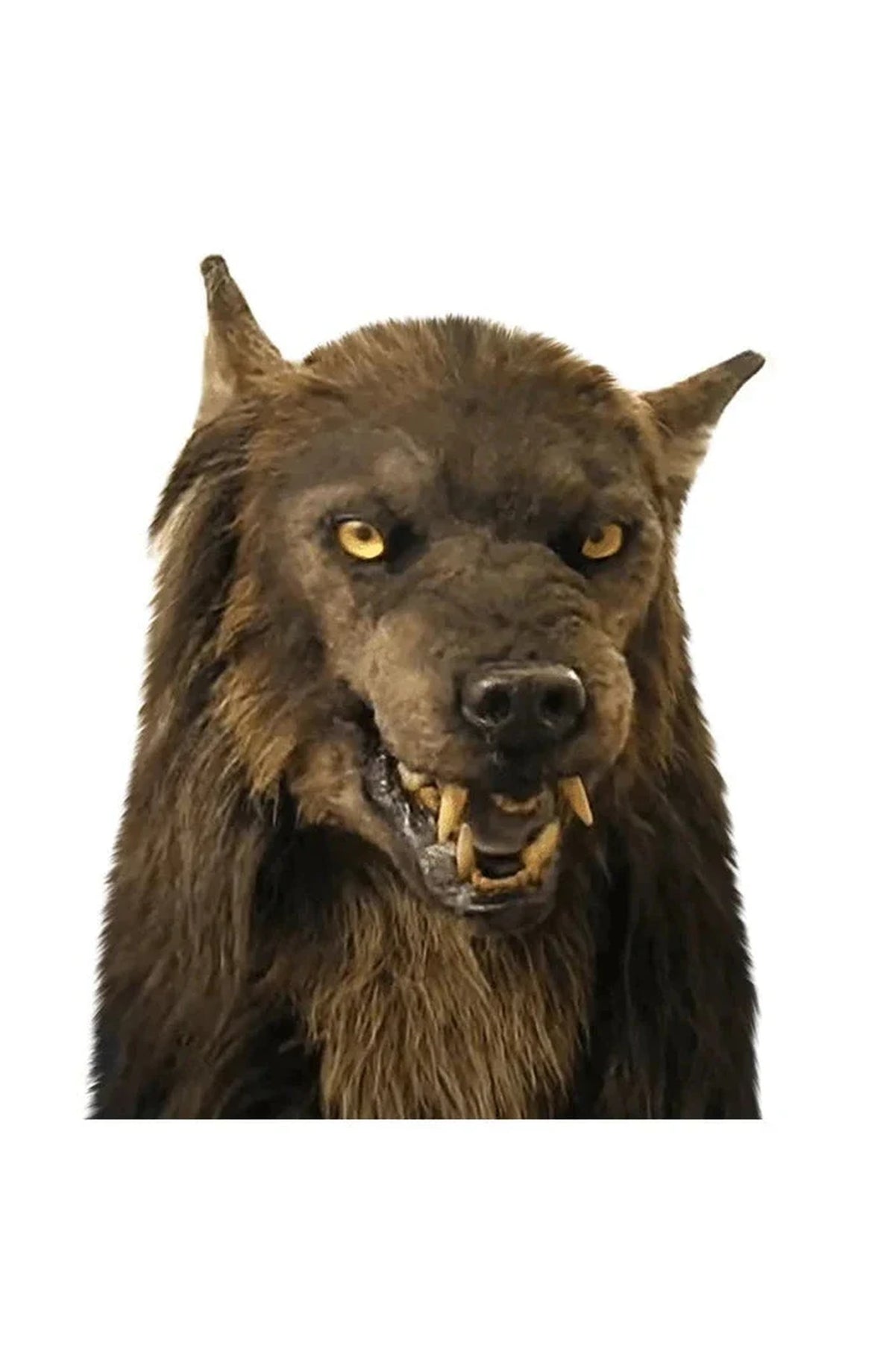 Wolf Head Mask - Full Head Halloween Costume Mask