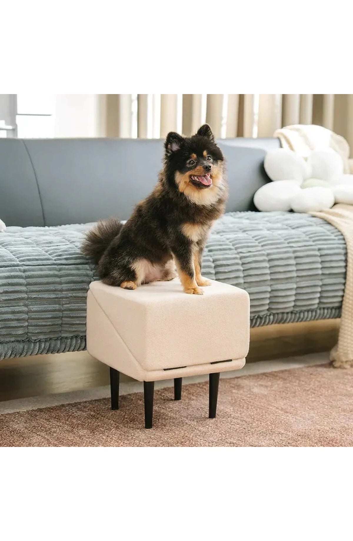 2-in-1 Convertible Dog Ramp & Step Stool – Supports 200 lbs