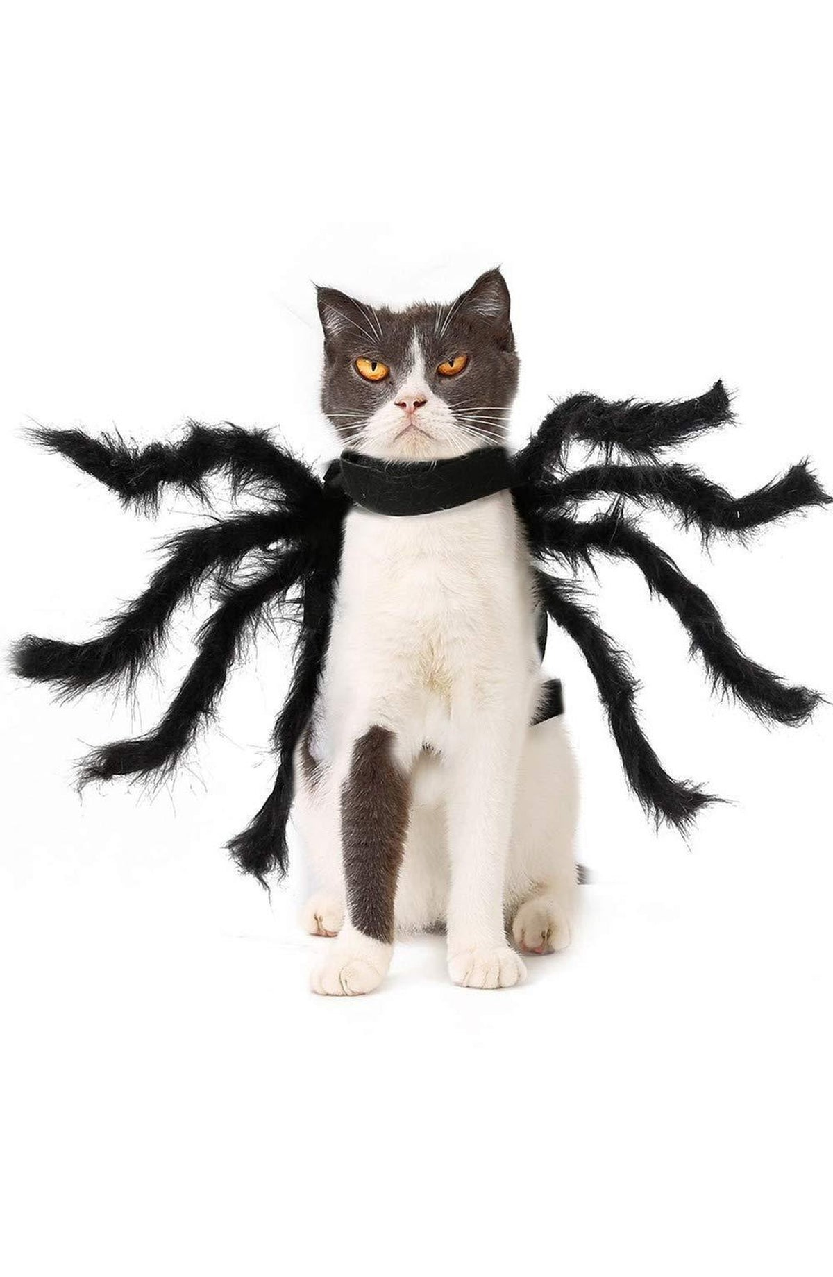 Spider Pet Costume - Giant Tarantula Outfit for Dogs