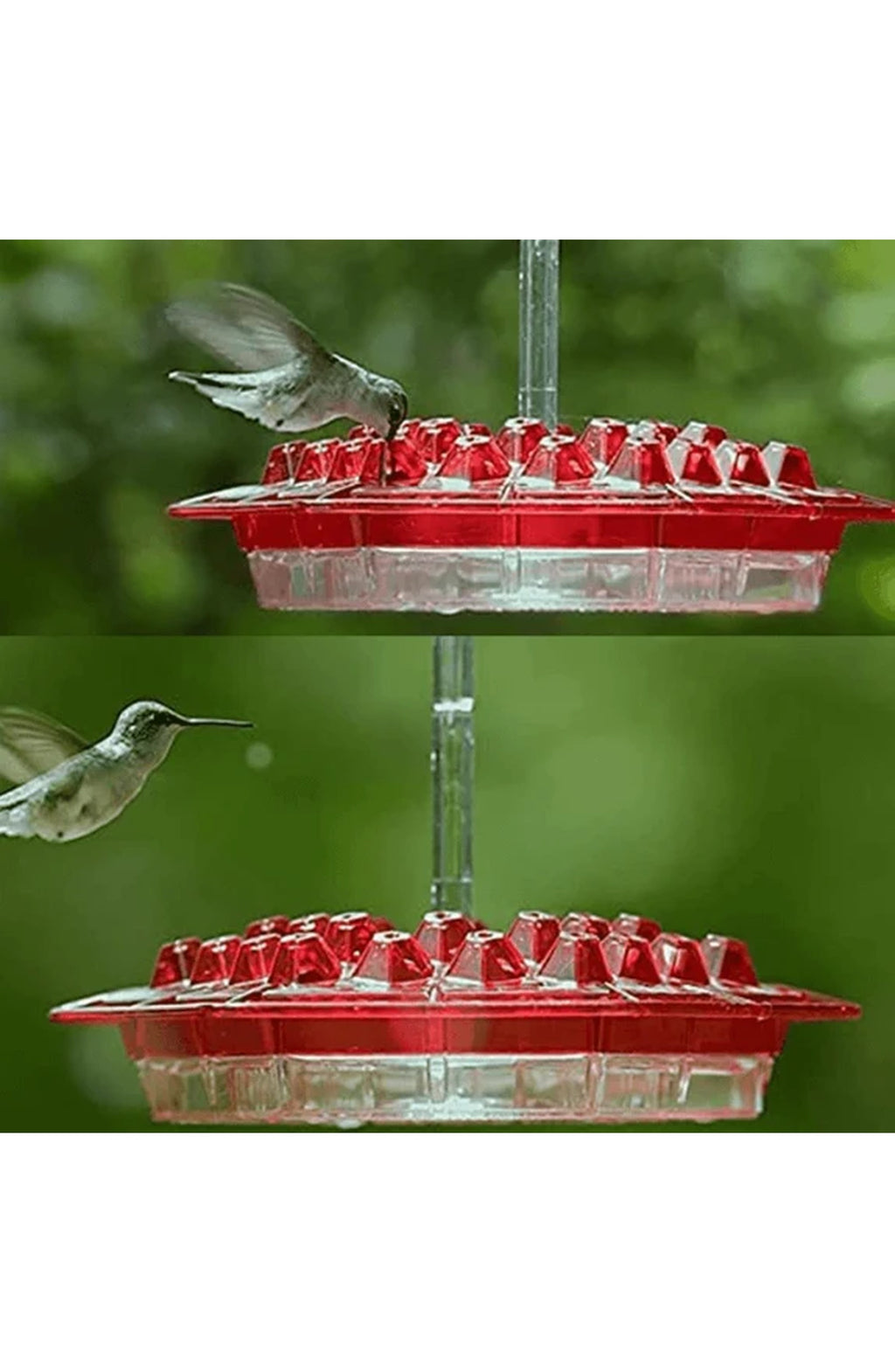 Ant-Proof Hummingbird Feeder - Hanging Perch, Easy Fill