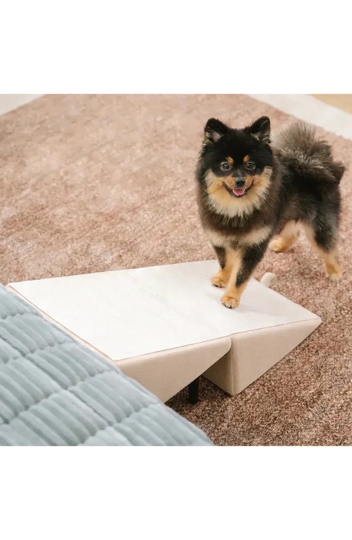 2-in-1 Convertible Dog Ramp & Step Stool – Supports 200 lbs – Cream
