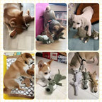 Tough Dog Chew Toy for Aggressive Chewers, Teeth Cleaning – 13 Styles