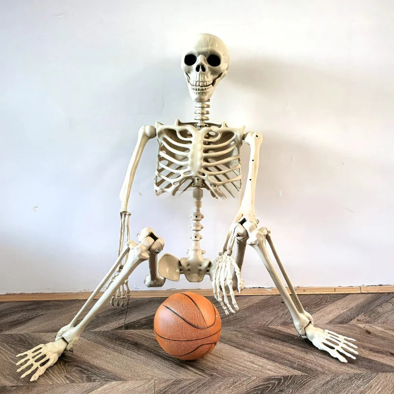 Life-Size Halloween Skeleton Decoration
