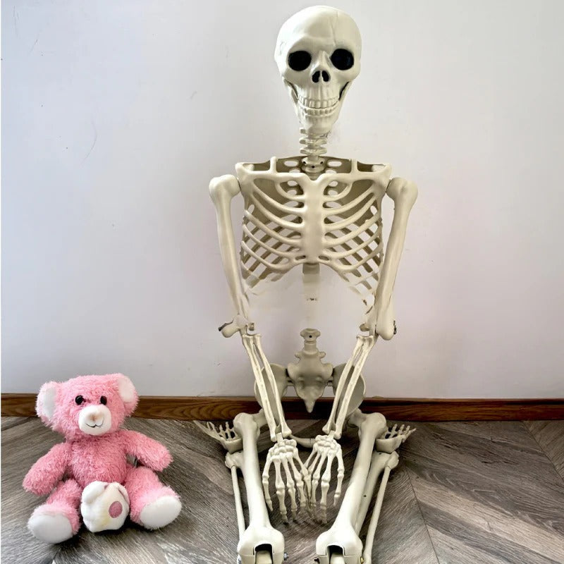 Life-Size Halloween Skeleton Decoration