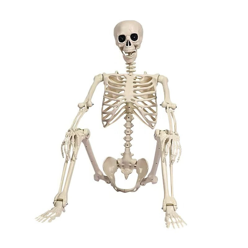 Life-Size Halloween Skeleton Decoration