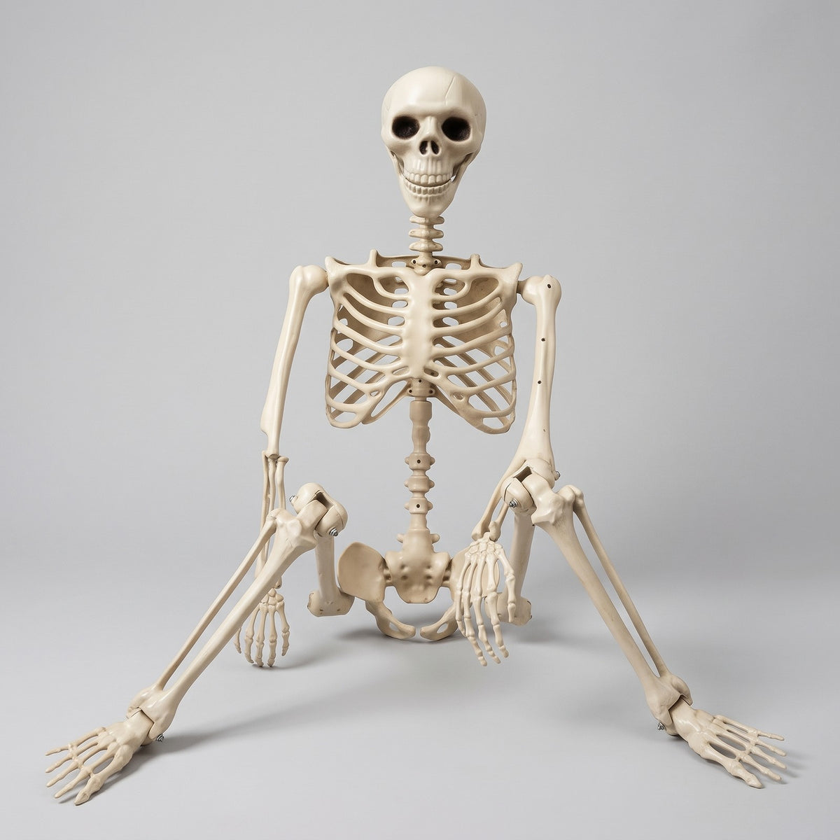 Life-Size Halloween Skeleton Decoration