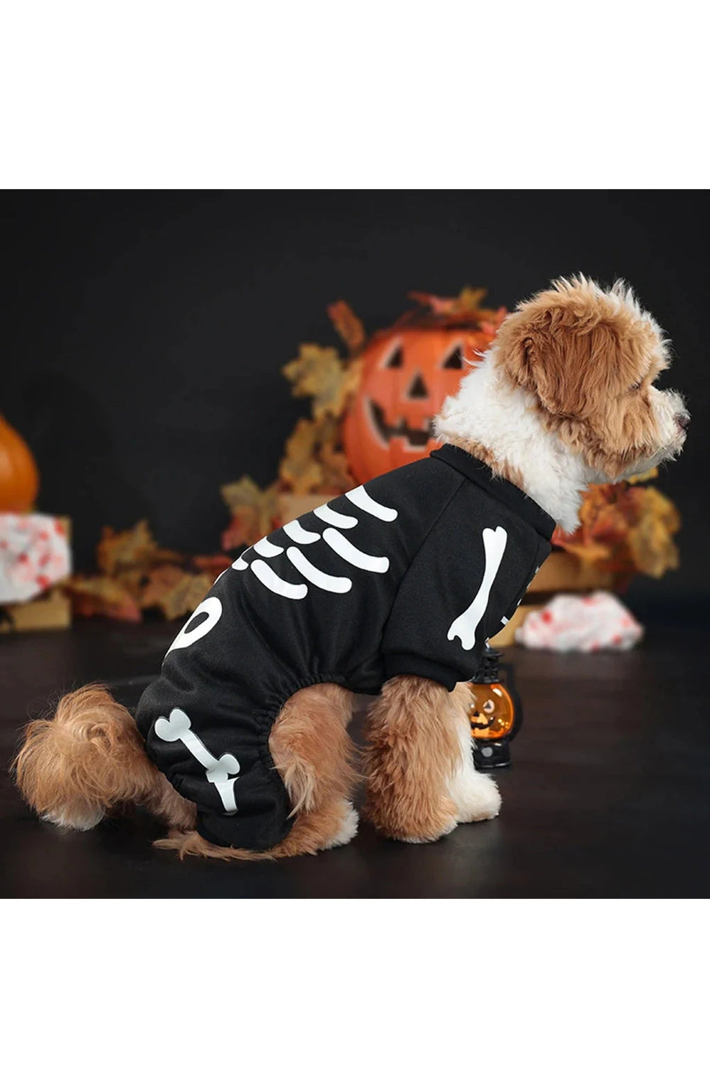 Skeleton Dog Halloween Costume | Glow-in-the-Dark Skeleton Print on Stretch Polyester | Four-Leg Jumpsuit for Dogs, M to XL