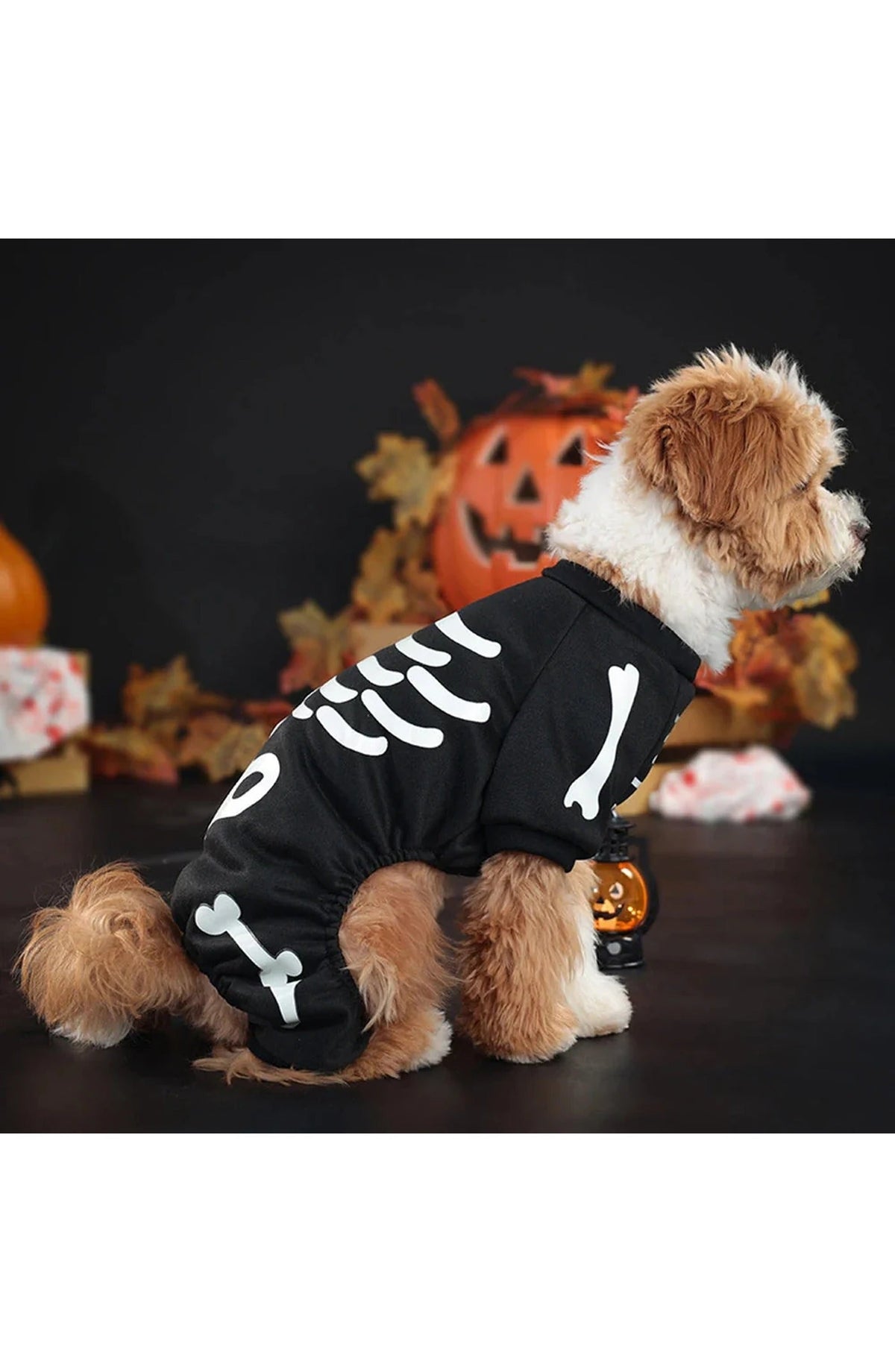 Skeleton Dog Halloween Costume | Glow-in-the-Dark Skeleton Print on Stretch Polyester | Four-Leg Jumpsuit for Dogs, M to XL