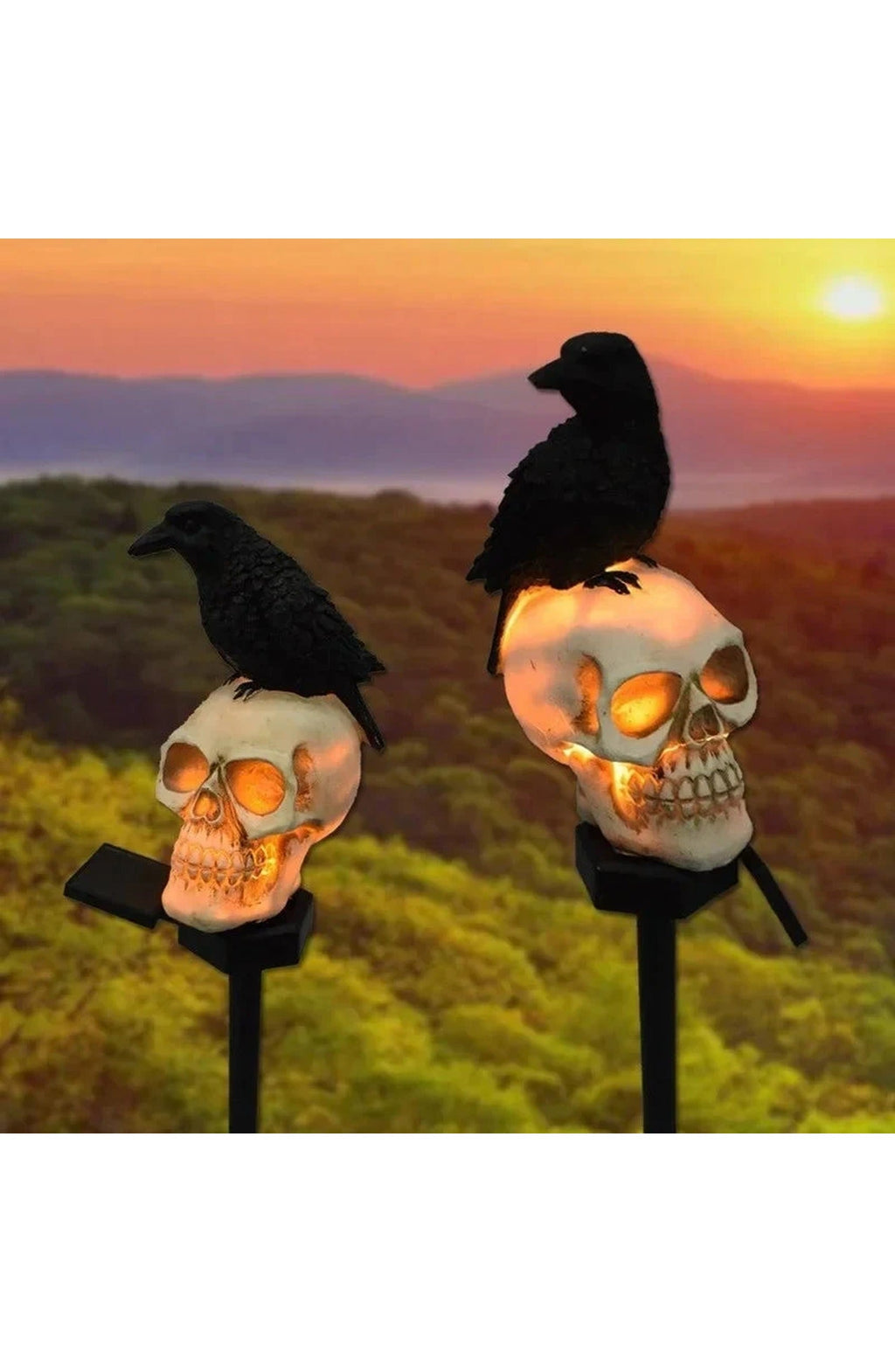 Solar Halloween Skull Stake Light | LED with Dusk-to-Dawn Sensor and 6 to 8 Hour Runtime | Waterproof, Looking Ahead or Left