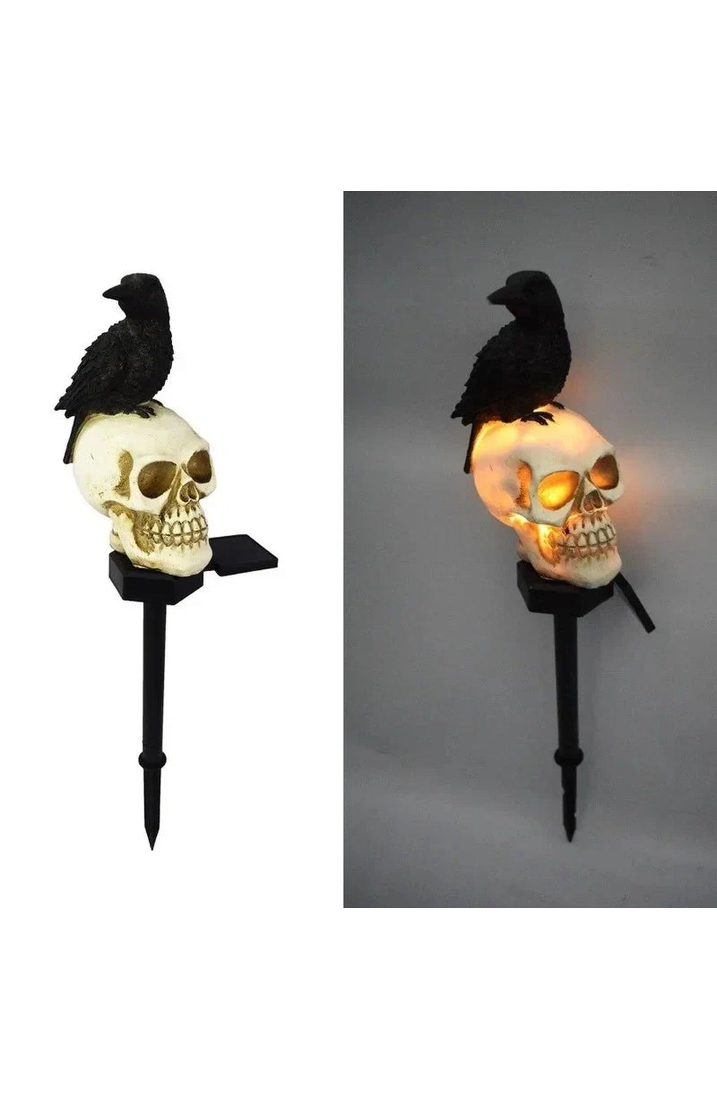 Solar Halloween Skull Stake Light | LED with Dusk-to-Dawn Sensor and 6 to 8 Hour Runtime | Waterproof, Looking Ahead or Left