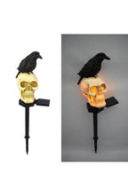 Solar Halloween Skull Stake Light | LED with Dusk-to-Dawn Sensor and 6 to 8 Hour Runtime | Waterproof, Looking Ahead or Left